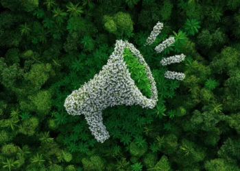 Greenwashing pod lupą: nowe przepisy UE i ryzyka dla firm szkoleniowych i certyfikujących