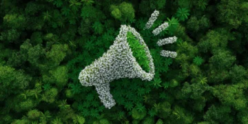 Greenwashing pod lupą: nowe przepisy UE i ryzyka dla firm szkoleniowych i certyfikujących