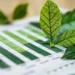 ISO 14001 czy ESRS? Który standard wybrać na start drogi do zrównoważonego rozwoju
